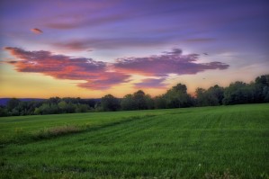 Sunrise on Bundy